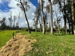 ll2200106 img 21 large