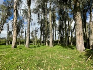 ll2200106 img 22 large