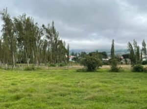 ll2200106 img 4 large