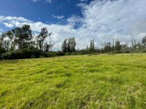 ll2200106 img 6 large