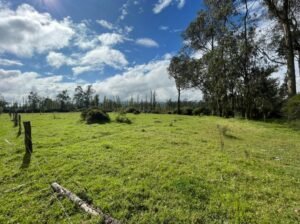 ll2200106 img 7 large