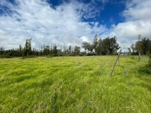 ll2200106 img 8 large