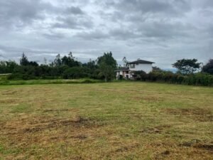 ll2200161 img 3 large