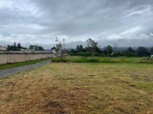 ll2200161 img 4 large