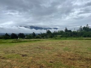 ll2200161 img 5 large