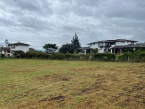 ll2200161 img 7 large