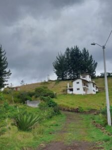 ll2300057 img 2 large