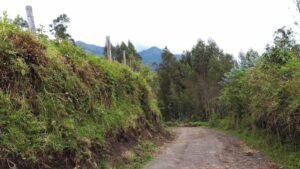 ll2300185 img 11 large