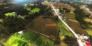 ll2300185 img 3 large