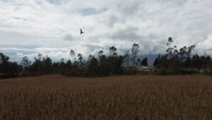 ll2300185 img 7 large