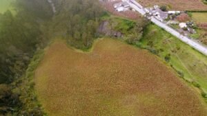 ll2300185 img 9 large