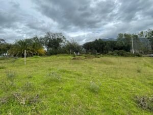 ll2400283 img 3 large