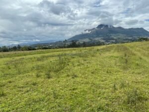 ll2400283 img 5 large