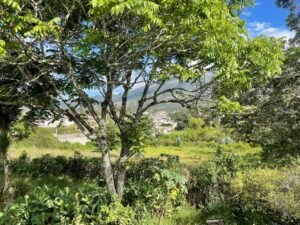 ll2400284 img 4 large