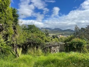 ll2400284 img 6 large