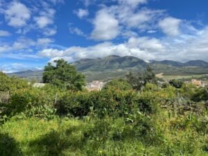 ll2400284 img 8 large