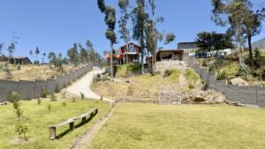 ll2400381 img 7 large