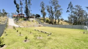 ll2400381 img 8 large