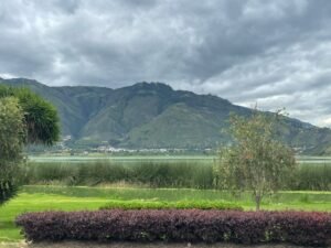 ll2400469 img 10 large