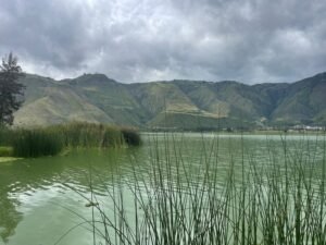 ll2400469 img 6 large