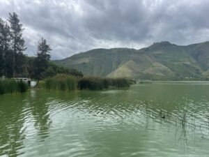 ll2400469 img 7 large