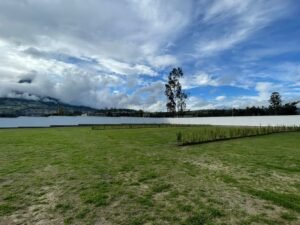 ll2400471 img 3 large