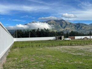 ll2400471 img 6 large