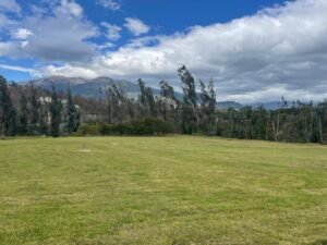 ll2500009 img 15 large