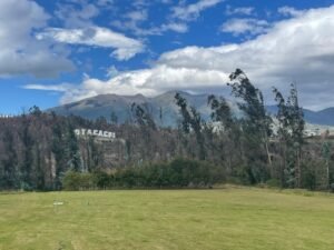 ll2500009 img 19 large