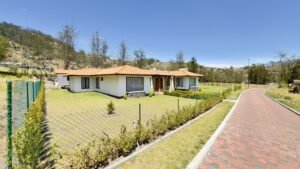 ll2500010 img 15 large