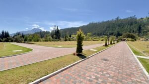 ll2500010 img 17 large