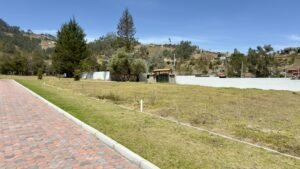 ll2500010 img 3 large