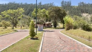 ll2500010 img 4 large