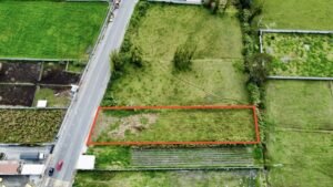 ll2500122 img 3 large