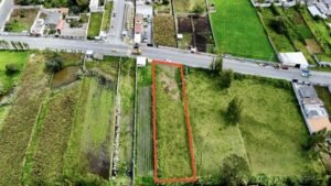 ll2500122 img 4 large