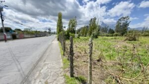 ll2500122 img 6 large