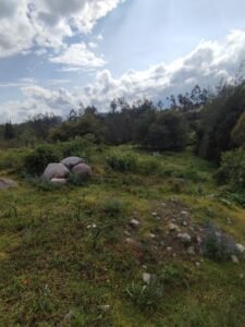 ll2500129 img 5 large