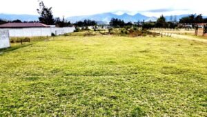 ll2500229 img 4 large