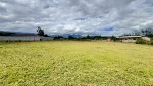 ll2500229 img 5 large