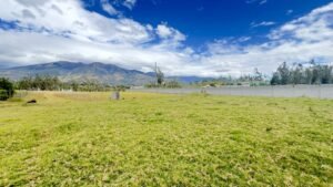 ll2500229 img 6 large