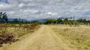 ll2500229 img 7 large