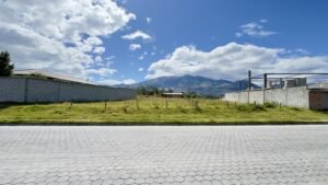 ll2500229 img 8 large