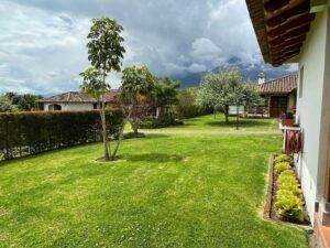 rl2300248 img 5 large