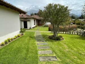 rl2300248 img 6 large