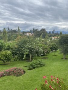 rl2400013 img 3 large