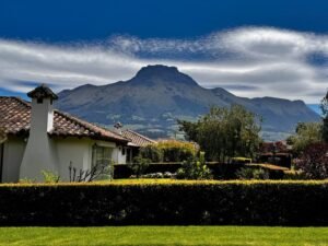 rl2500104 img 15 large