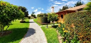 rl2500104 img 23 large