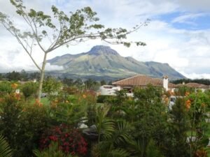 rl2500104 img 9 large