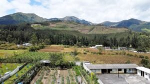 rs2200398 img 3 large