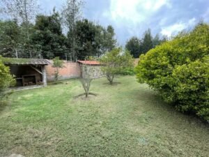 rs2200419 img 20 large